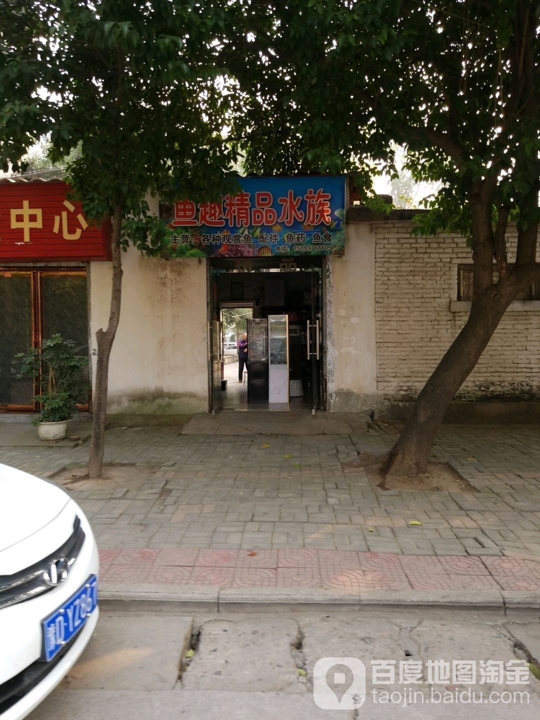 舞鋼哪個(gè)水族館龍魚好？祥龍魚場龍魚：舞鋼哪個(gè)水族館龍魚好