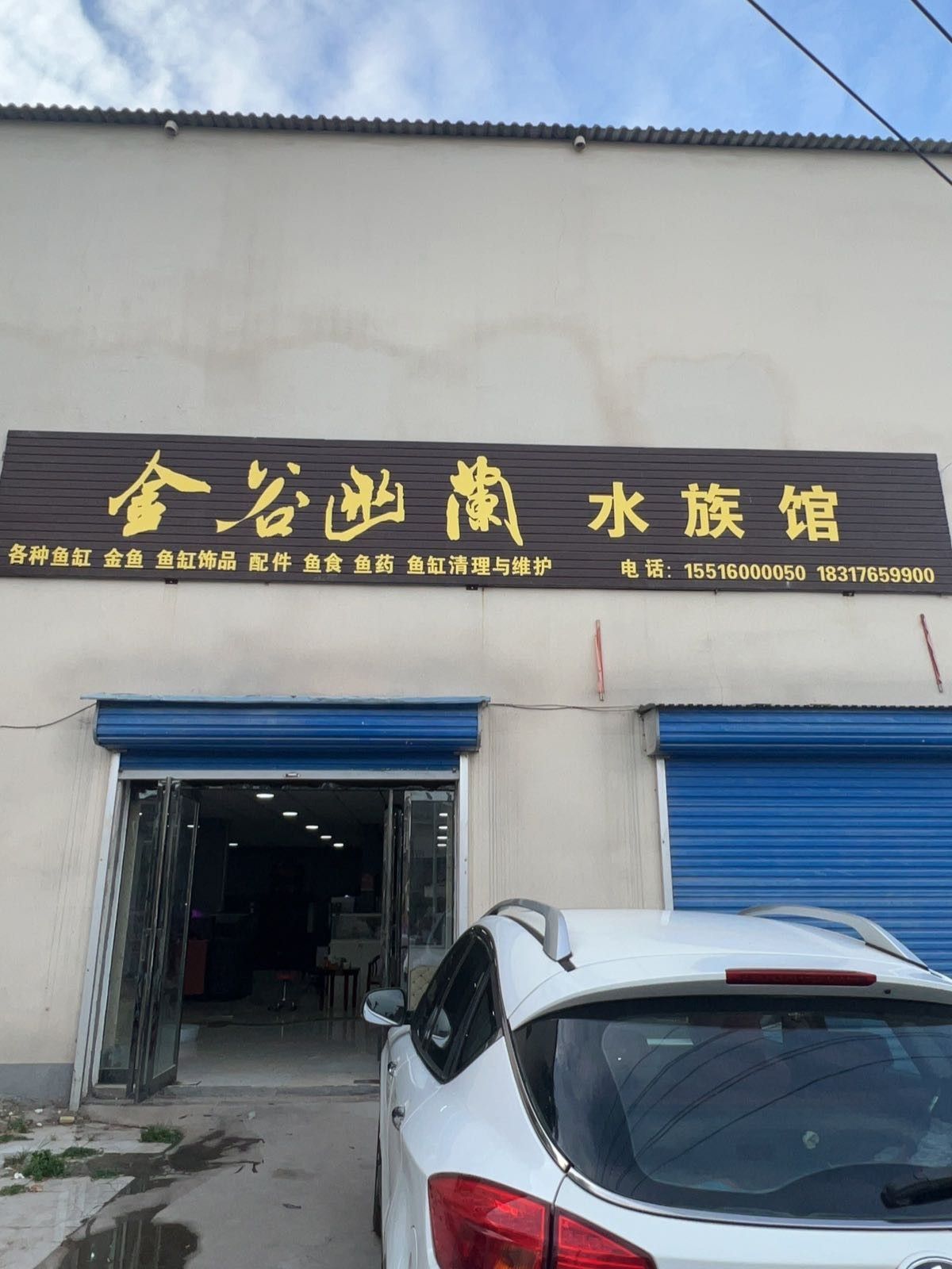 舞鋼哪個(gè)水族館龍魚好？祥龍魚場龍魚：舞鋼哪個(gè)水族館龍魚好