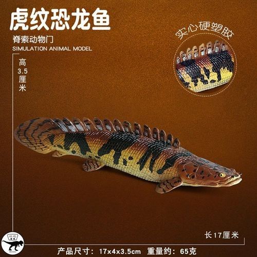 給我更多虎紋恐龍魚的圖片：廣東男子釣獲新物種，長龍鰭帶龍角