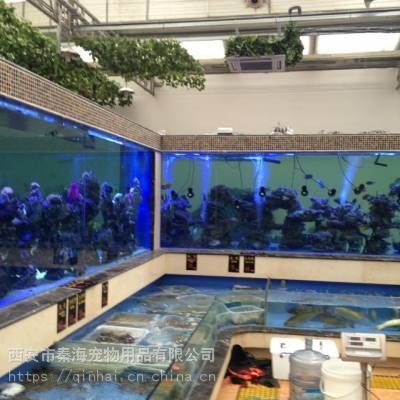 如何聯系祥龍魚場進行魚缸定做：渭南魚缸渭南魚缸定做渭南定做大型魚缸廠家
