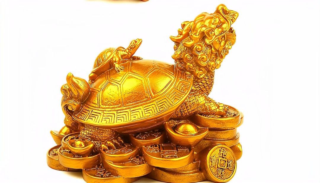 如何判斷龍龜是否已經(jīng)消磁：怎樣判斷龍龜是否已經(jīng)消磁