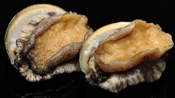 海龍魚干制品如何保存：海龍魚干制品的保存方法