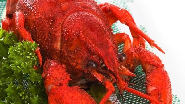 海龍魚干制品如何保存：海龍魚干制品的保存方法