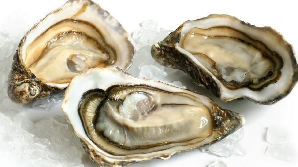 海龍魚干制品如何保存：海龍魚干制品的保存方法