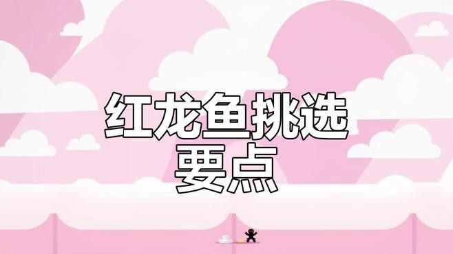 如何判斷紅龍魚尾鰭腐爛的嚴重程度：紅龍魚尾鰭腐爛怎么辦