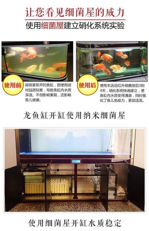 哪種類(lèi)型的龍魚(yú)缸濾材最好:如何選擇適合龍魚(yú)的濾材 龍魚(yú)百科 第6張 哪種類(lèi)型的龍魚(yú)缸濾材最好:如何選擇適合龍魚(yú)的濾材 哪種類(lèi)型的龍魚(yú)缸濾材最好:如何選擇適合龍魚(yú)的濾材 龍魚(yú)百科 第6張