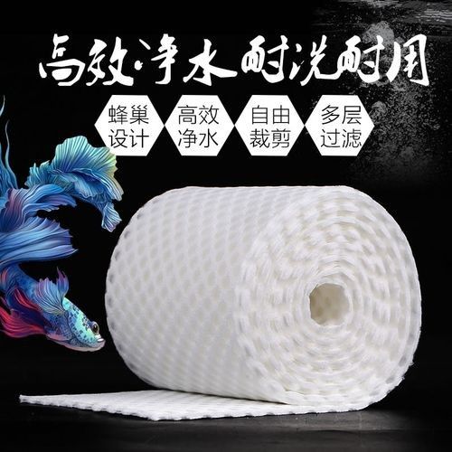 哪種類(lèi)型的龍魚(yú)缸濾材最好：如何選擇適合龍魚(yú)的濾材 哪種類(lèi)型的龍魚(yú)缸濾材最好：如何選擇適合龍魚(yú)的濾材 龍魚(yú)百科 第8張