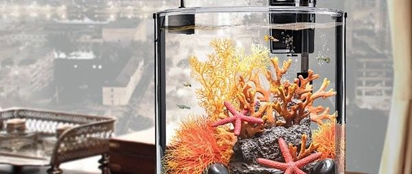 龍魚缸的造景注意事項：雷龍魚新家大揭秘一米五大缸造景全攻略一米五大缸造景全攻略