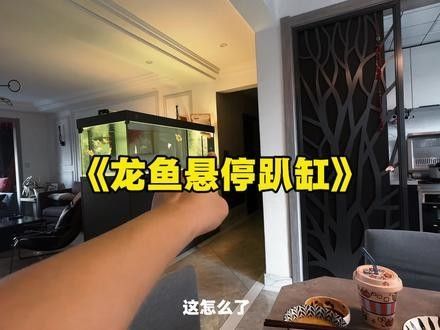 抖音上有哪些龍魚視頻推薦：抖音上熱門的龍魚視頻