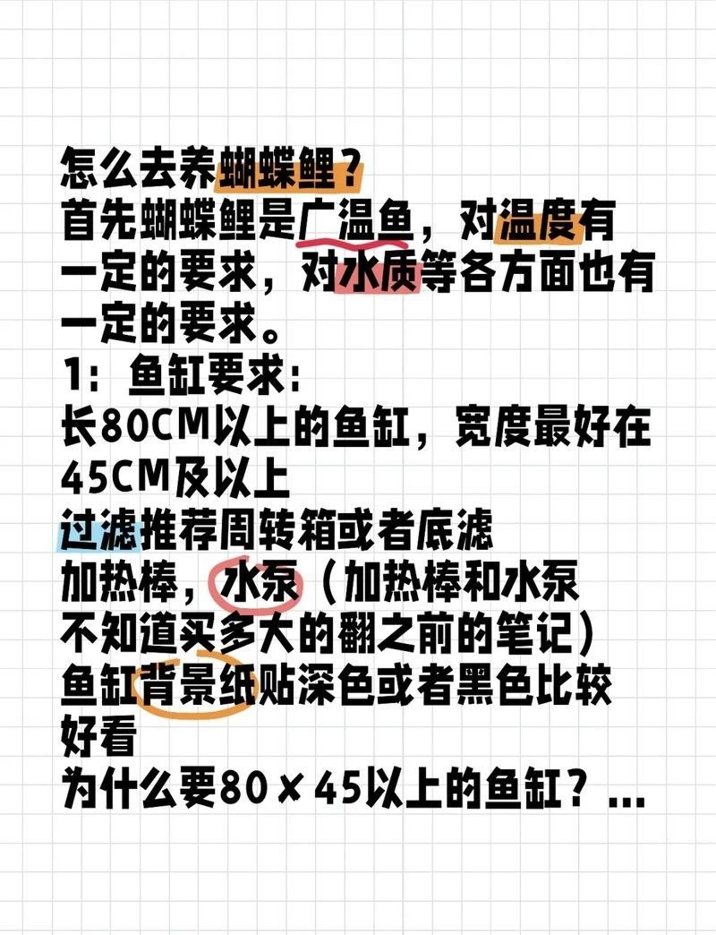 金龍魚和蝴蝶鯉混養需要哪些設備：龍魚和蝴蝶鯉混養是一種流行的水族箱養殖方法創造多樣化的生態系統