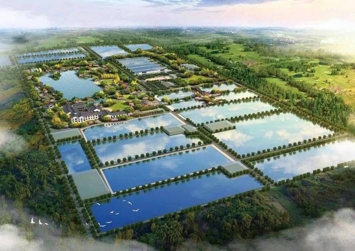 龍和漁業文化園的營業時間是？：尋味衢州——龍和漁業文化園