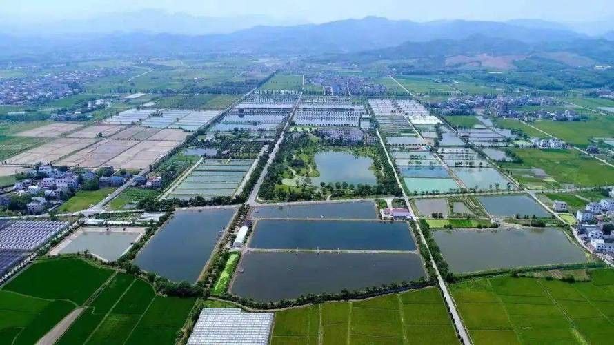 龍和漁業文化園的營業時間是？：尋味衢州——龍和漁業文化園
