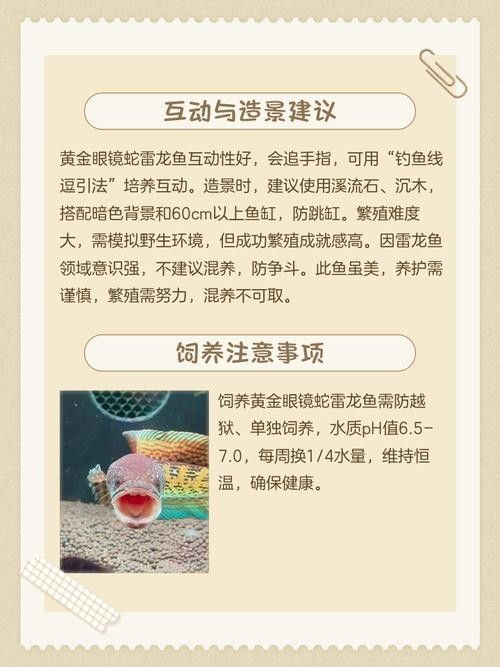 雷龍魚康復后需要如何調養：雷龍魚養殖的四大黃金法則，你get了嗎