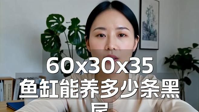 黑尾大鉤魚需要多大的魚缸：尾大鉤魚，也被稱為黑尾金槍魚或黑尾金槍魚或黑尾馬鮫