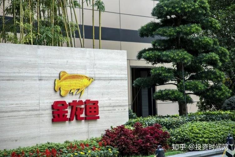 金龍魚科技海報設計有哪些常見元素：金龍魚科技海報設計中常見的元素