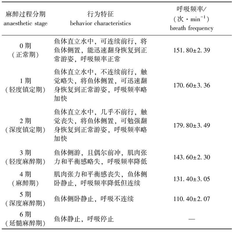 如何調整MS-222的麻醉劑量：ms-222麻醉劑如何調整？