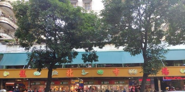 龍魚張嘴抽搐可能是哪些原因引起的？（龍魚張嘴抽搐是什么原因引起的？）