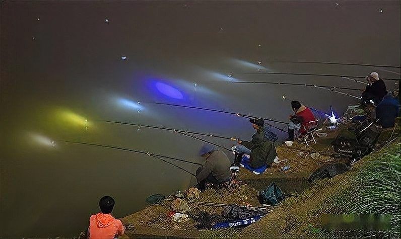 星點龍魚需要什么樣的夜燈？：養龍魚燈光選擇全攻略