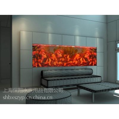 恩平哪個(gè)水族館龍魚好？祥龍魚場龍魚：恩平哪個(gè)水族館龍魚好祥龍魚場在尋找恩平地區(qū)最佳的水族館