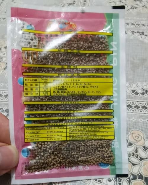 古龍魚飼料過期后還能喂嗎：老釣友私藏的3招變廢為寶，省錢了還爆護仟小魚釣魚