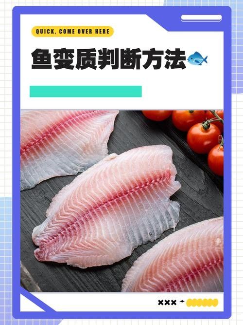 古龍魚飼料過期后還能喂嗎：老釣友私藏的3招變廢為寶，省錢了還爆護仟小魚釣魚