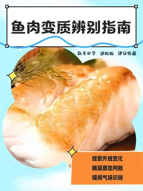 古龍魚飼料過期后還能喂嗎：老釣友私藏的3招變廢為寶，省錢了還爆護仟小魚釣魚