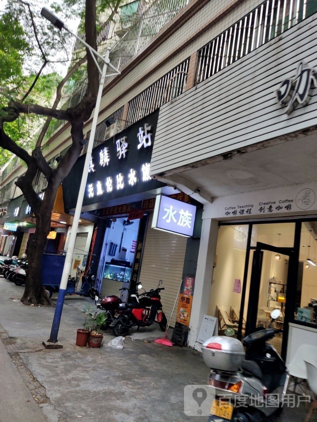 推薦一些潮州的水族店：潮州市值得推薦的幾家水族店，不僅提供多樣化的魚類和水生動物