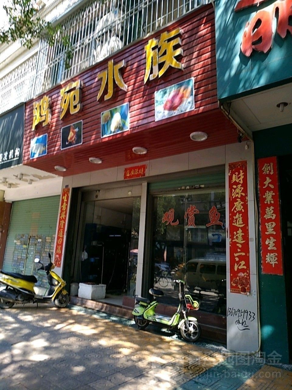 推薦一些潮州的水族店：潮州市值得推薦的幾家水族店，不僅提供多樣化的魚類和水生動物
