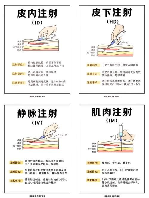 如何預防草金魚患病？：小魚缸養小金魚注意這幾點就能養好金魚的健康和長壽