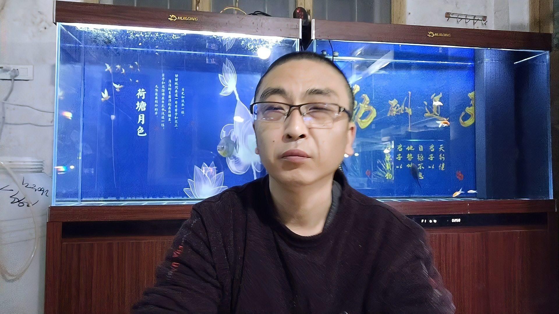 如何預防草金魚患病？：小魚缸養小金魚注意這幾點就能養好金魚的健康和長壽