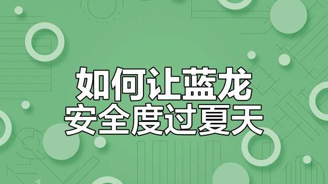 藍(lán)龍魚的市場(chǎng)價(jià)格波動(dòng)大嗎：藍(lán)龍魚市場(chǎng)價(jià)格波動(dòng)較小主要受以下因素影響