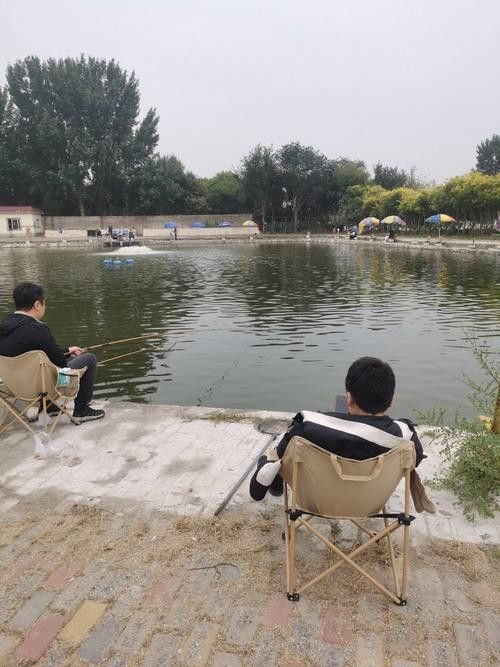 龍魚灣垂釣園的口碑如何：龍魚灣垂釣園口碑如何？