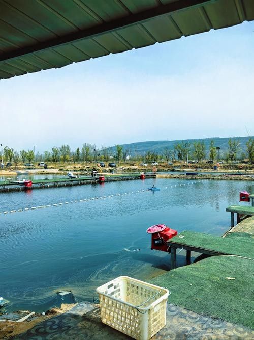龍魚灣垂釣園的口碑如何：龍魚灣垂釣園口碑如何？