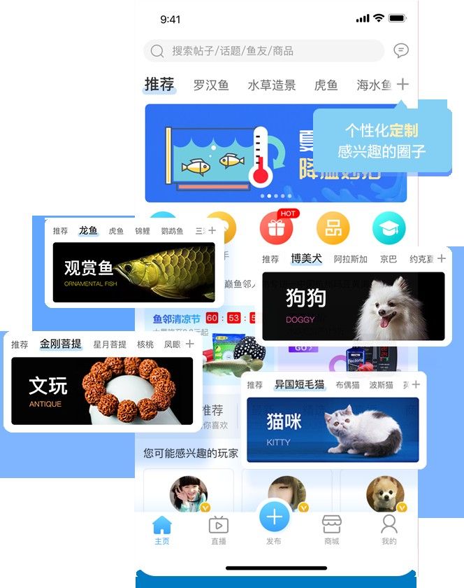 貴港還有哪些地方賣龍魚？：貴港哪里賣龍魚比較便宜？