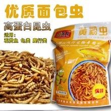 貴港還有哪些地方賣龍魚？：貴港哪里賣龍魚比較便宜？