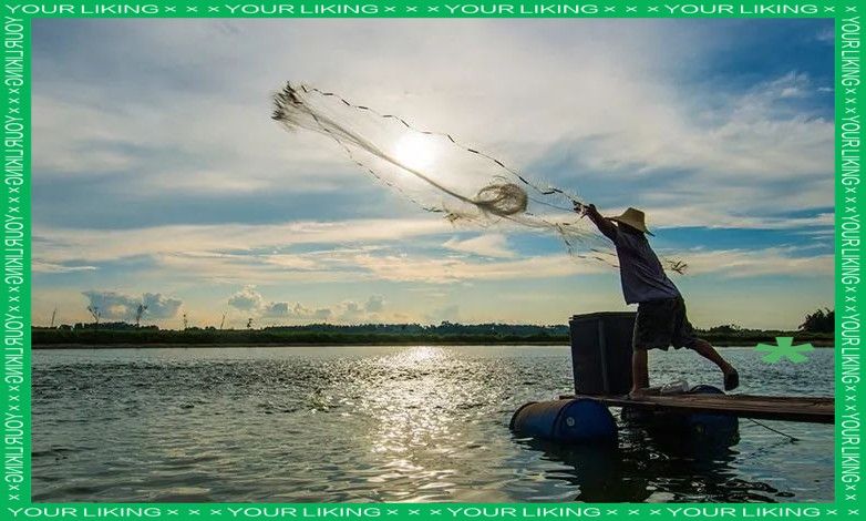 如何預防龍魚頻繁浮頭？：如何防止龍魚頻繁浮頭