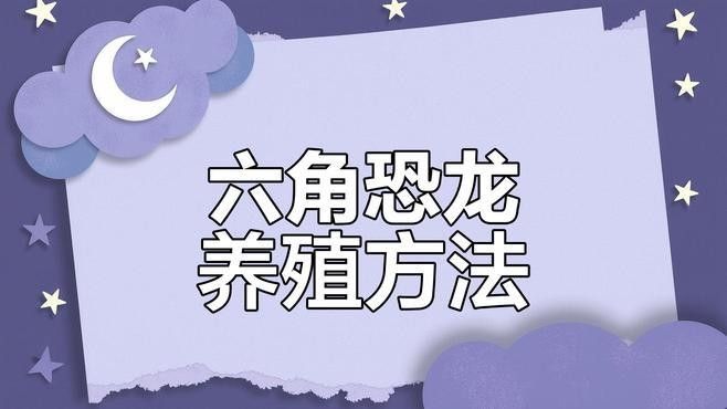 如何正確飼養六角恐龍魚：六角恐龍怎么養