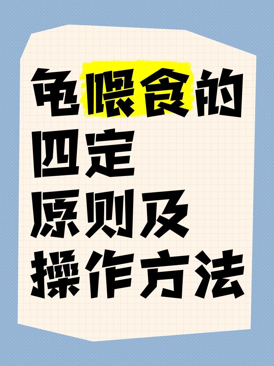 玉林龍魚養(yǎng)殖有哪些注意事項(xiàng)？（林龍魚養(yǎng)殖需要注意的事項(xiàng)包括：水質(zhì)管理是關(guān)鍵，需要定期更換水和清潔魚缸）