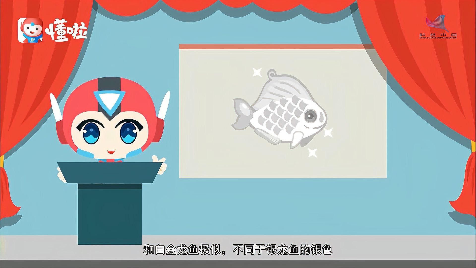 有沒有雪龍魚的動態(tài)視頻？：如何區(qū)分雪龍魚與銀龍魚的區(qū)別，