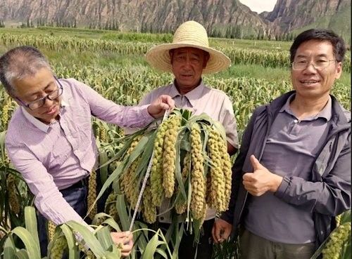 郭孔豐的背景是什么：郭孔豐的商業理念是什么郭孔豐的商業理念是什么