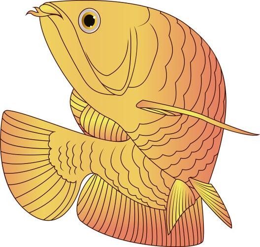 有沒(méi)有飛龍魚(yú)卡通手繪圖片？：飛龍魚(yú)卡通手繪