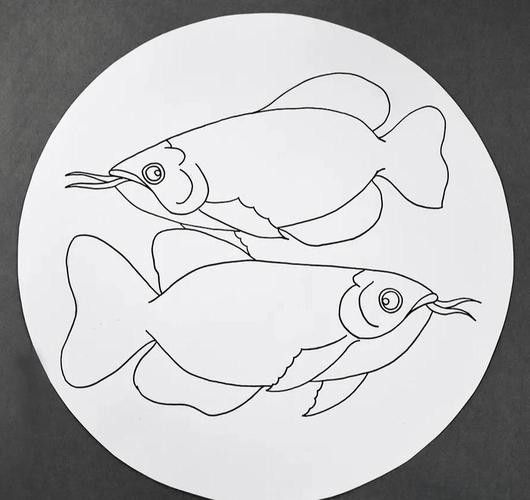 有沒(méi)有飛龍魚(yú)卡通手繪圖片？：飛龍魚(yú)卡通手繪