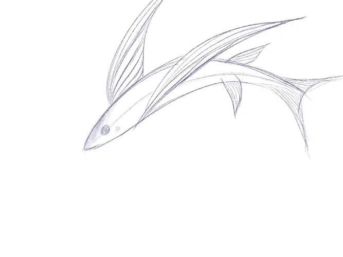 有沒(méi)有飛龍魚(yú)卡通手繪圖片？：飛龍魚(yú)卡通手繪