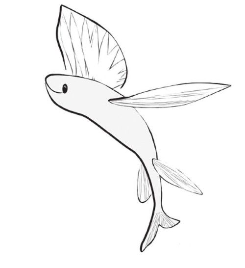 有沒(méi)有飛龍魚(yú)卡通手繪圖片？：飛龍魚(yú)卡通手繪