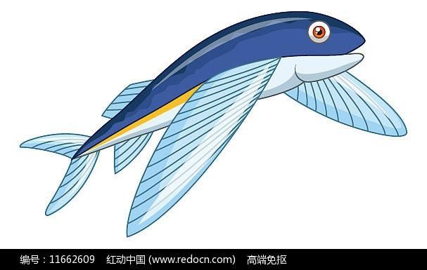 有沒(méi)有飛龍魚(yú)卡通手繪圖片？：飛龍魚(yú)卡通手繪