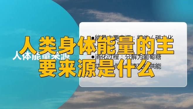哪種能量來源更有效？：人體能量的主要來源