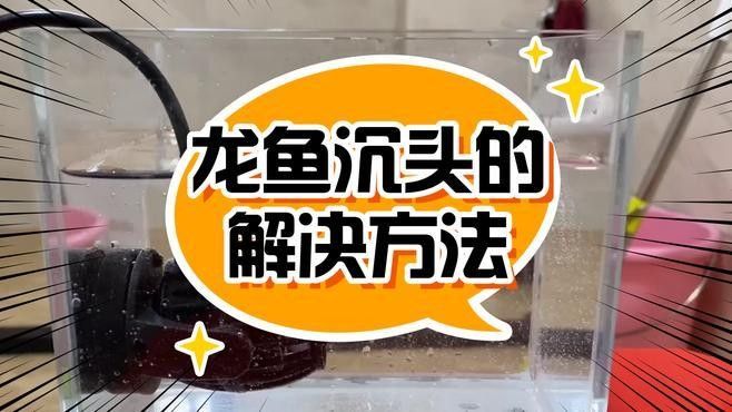 龍魚浮頭沉尾需要多久恢復：魚浮頭和沉尾是兩種常見的魚類行為，可能由多種原因引起