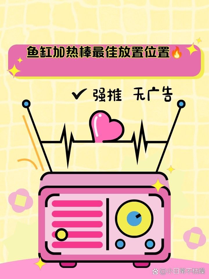 六角龍魚缸加熱棒應(yīng)該放在哪里：角龍魚缸加熱棒的擺放位置
