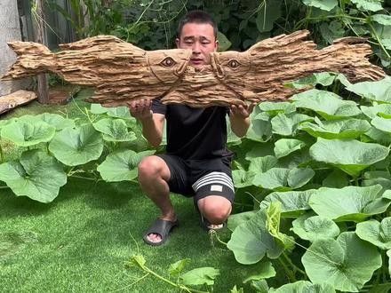 如何鑒別金龍魚木雕的真偽：如何鑒別金龍魚木雕真偽