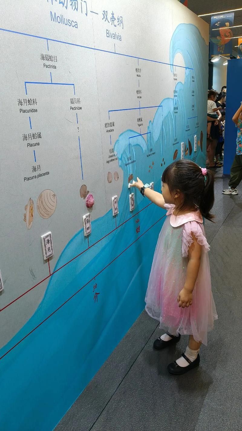 深圳分館的親子DIY活動(dòng)如何預(yù)約？：分館的親子diy活動(dòng)預(yù)約流程如下：深圳分館親子diy活動(dòng)預(yù)約流程